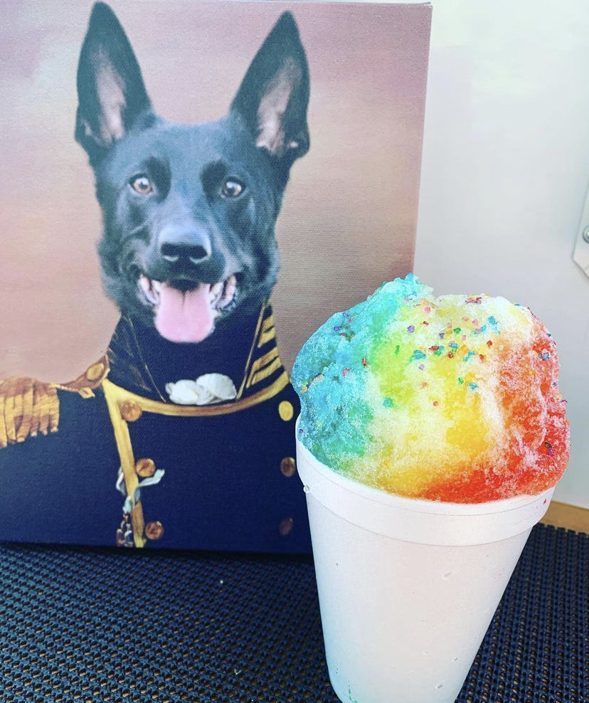 Shave Ice cup with a picture of a pup behind it.